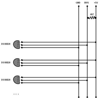 DS1820 bus.jpg