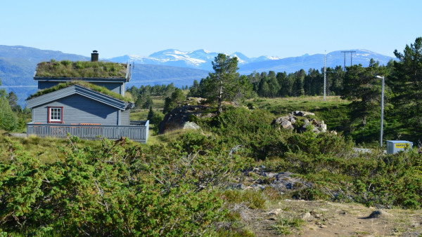 Norsko zelená strecha.jpg