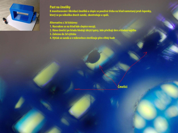 Past na čmelíky.jpg