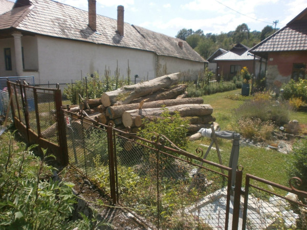 kopa_dreva-5.JPG