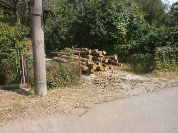 kopa_dreva-7.JPG