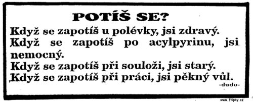 POTIS SE.jpg