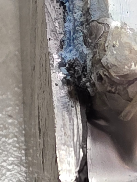 20260914_202606.jpg