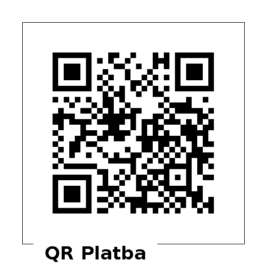 QR 100 Kč